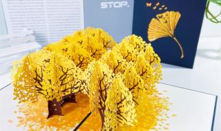 女神节贺卡制作教程