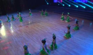 一双小小手舞蹈 一双小小手舞蹈