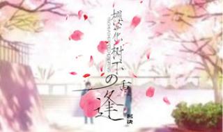 樱花树下的重逢 樱花树下的重逢