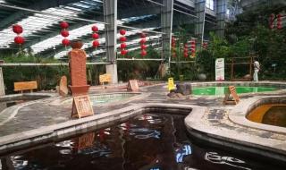 御龙在天泡温泉 御龙在天泡温泉