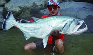 亚马逊河流 亚马逊河流