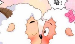 喜羊羊爱美羊羊吗