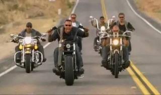 居家男人尼古拉斯凯奇 居家男人尼古拉斯凯奇