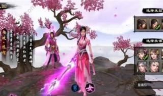 天龙八部宝宝装备