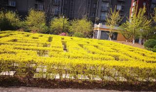 鲅鱼圈二手房信息 鲅鱼圈二手房信息